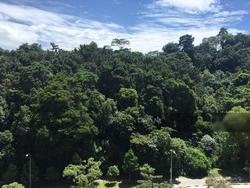 Blk 88 Telok Blangah Heights (Bukit Merah), HDB 5 Rooms #127472772